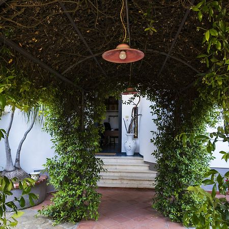 Villa Gio B&B De Charme Montecorice Dış mekan fotoğraf